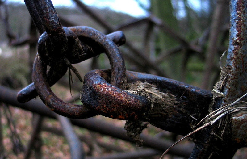 Eggenring beim Pferde-Shooting