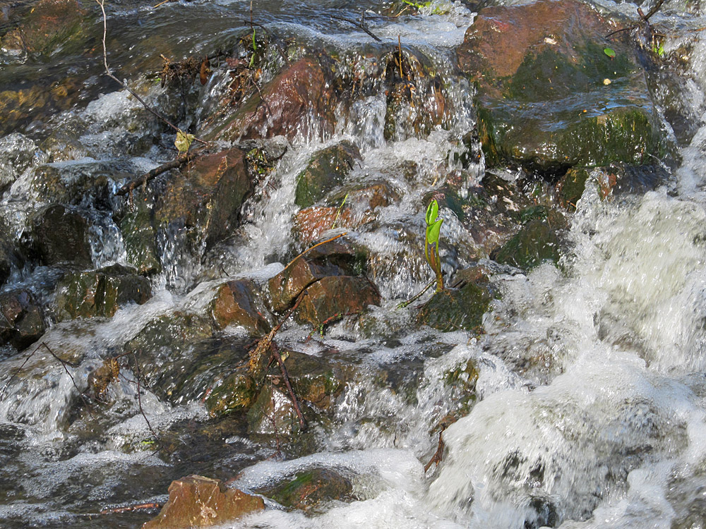 Eggersmühler Wasserfälle (-;