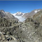 Eggishorn, mit Aletsch- und Fieschergletscher