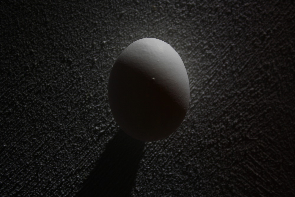 egglight