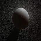 egglight