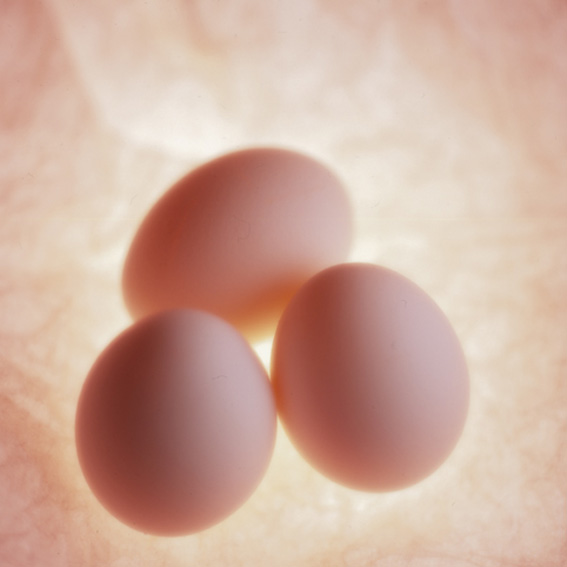 Eggs