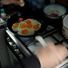 eggs in motion