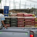 Eggs on the car