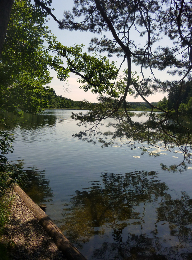 ...Eggstätter Seenplatte..