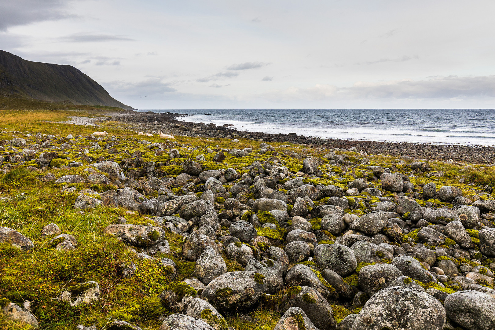 Eggum - Lofoten