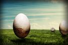 Eggworld von Fabian Ruyters 