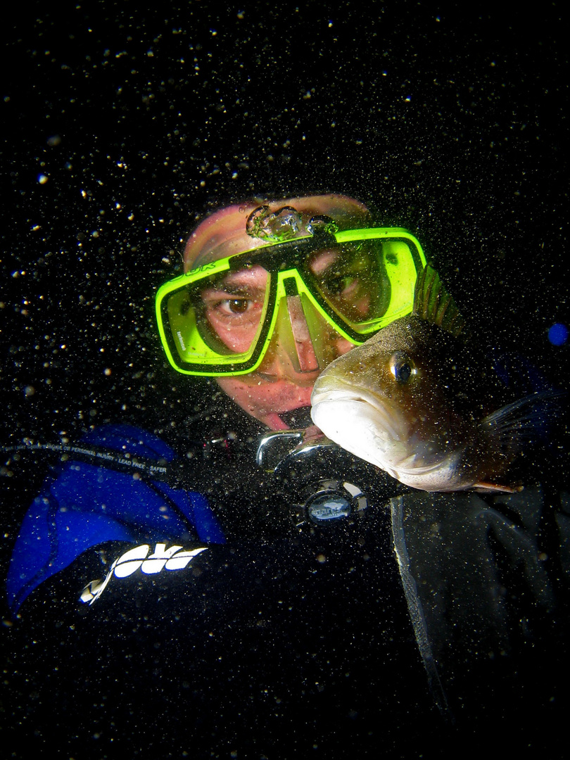 Eglibändiger im Sternenstaub