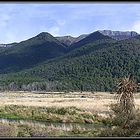 Eglinton River - Fjordland