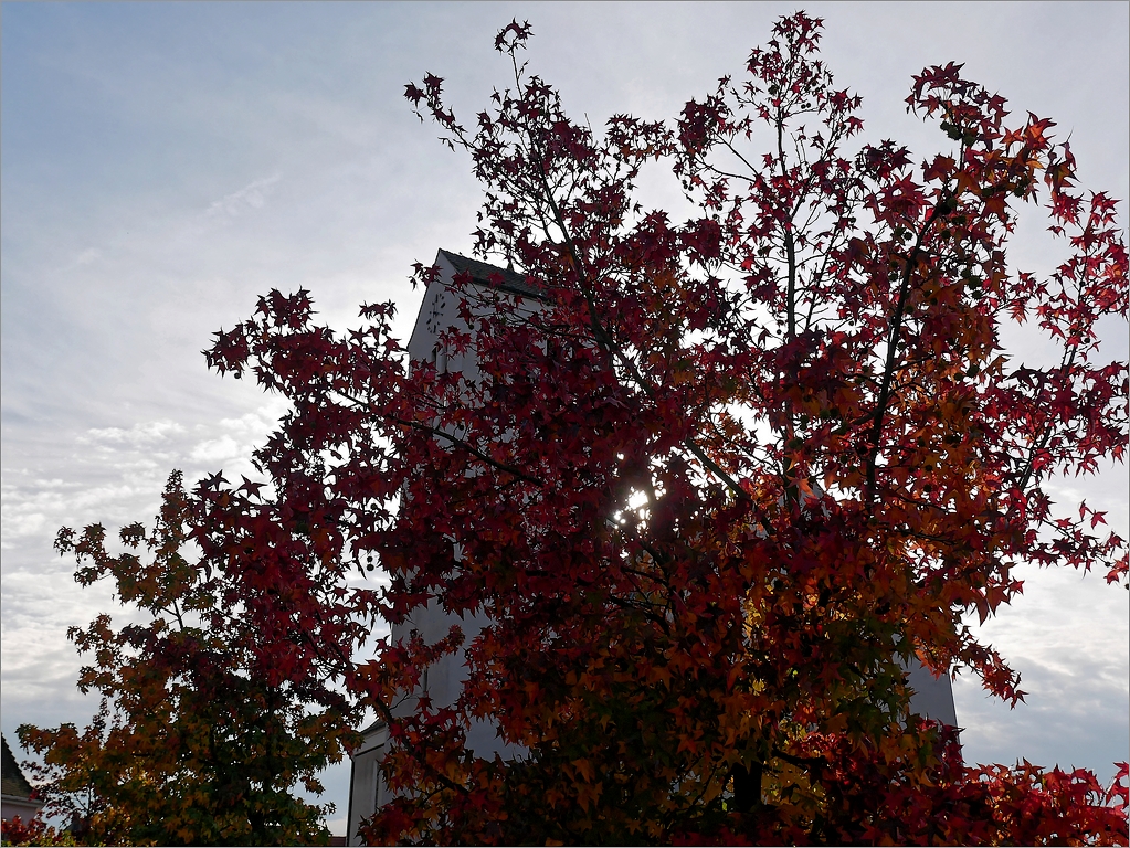 Eglise d'automne