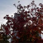 Eglise d'automne