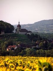 EGLISE DE SAINT LOTHAIN 39