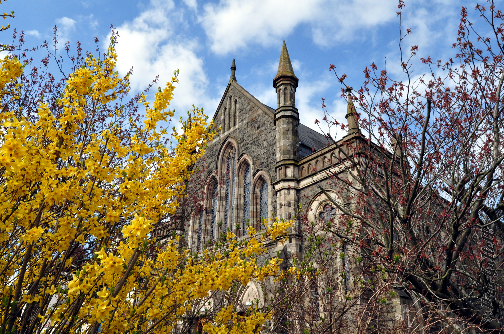 Eglise, Quartier Nord, Belfast