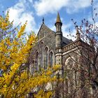 Eglise, Quartier Nord, Belfast