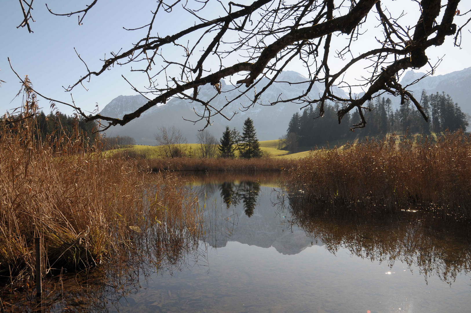 Eglsee in Abtenau - Land Salzburg II