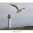 Egmond aan Zee