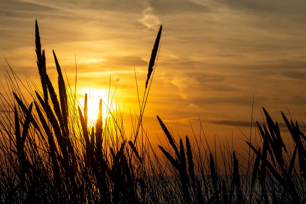 Egmond aan Zee