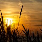 Egmond aan Zee