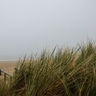 Egmond aan Zee