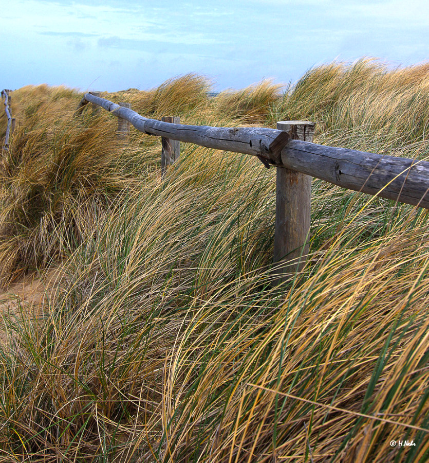 Egmond aan Zee