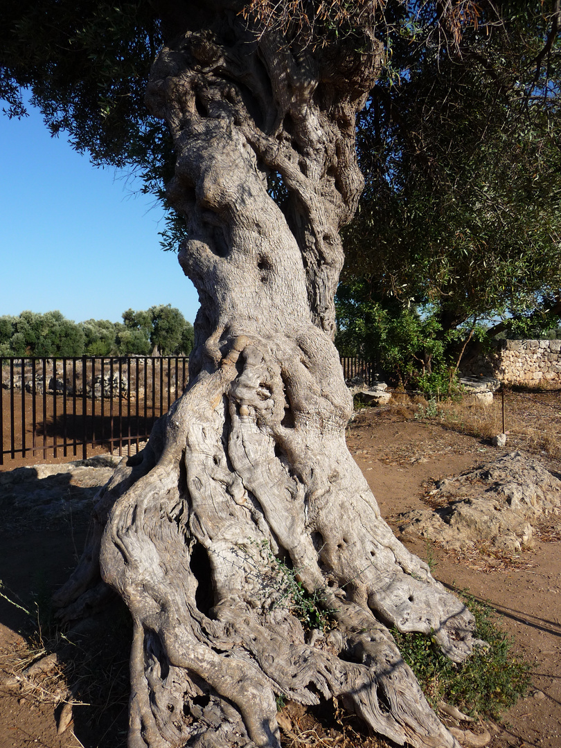 Egnazia