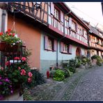 Eguisheim 2015-09-30 001 (42) am Morgen ©