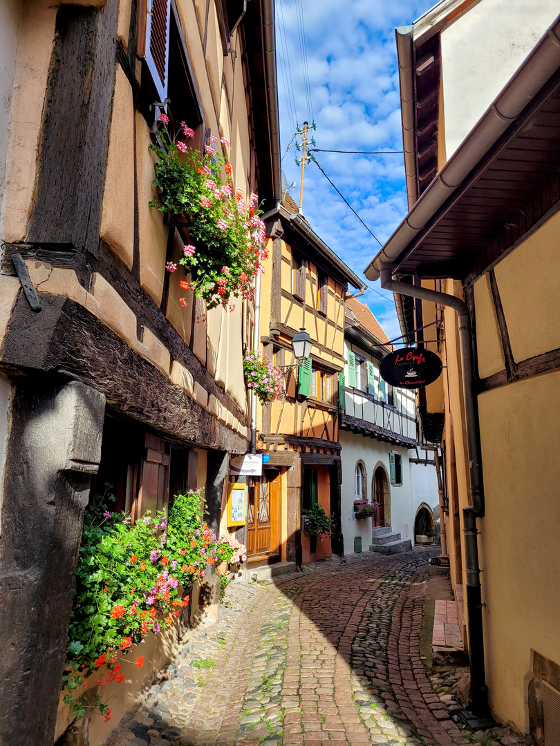 Eguisheim, Elsass