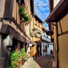 Eguisheim, Elsass