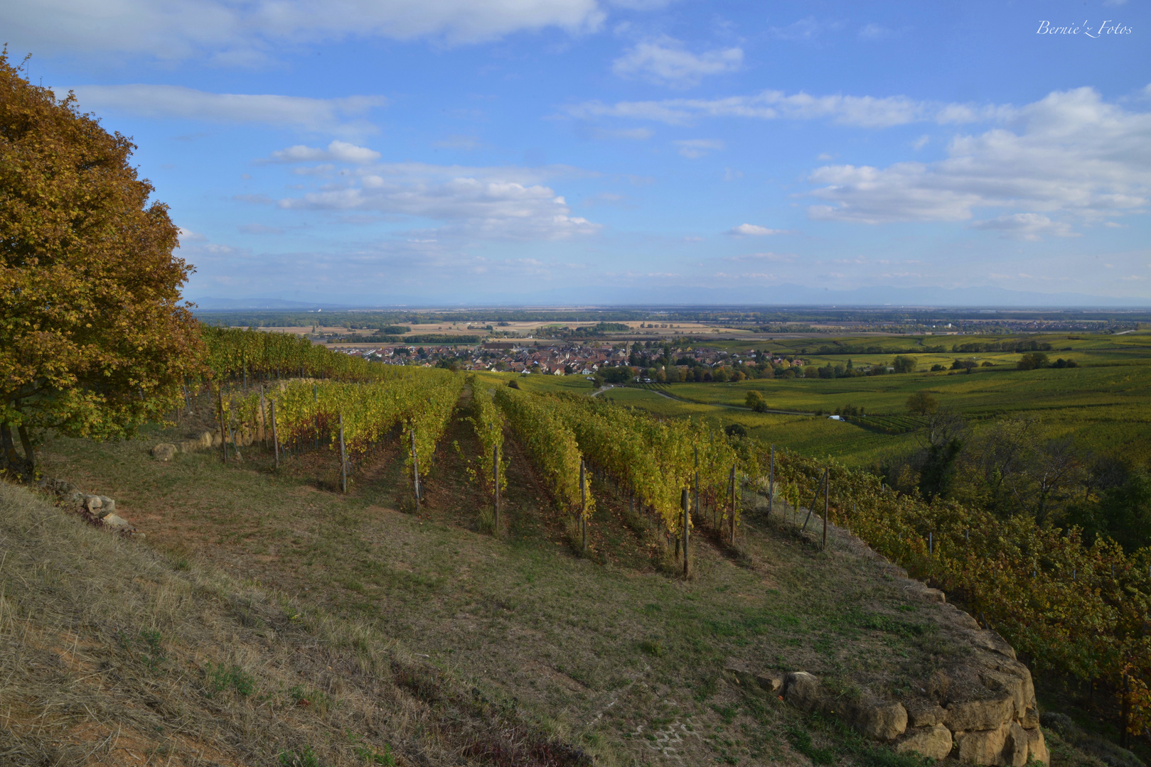 Eguisheim - Husseren les Chateaux