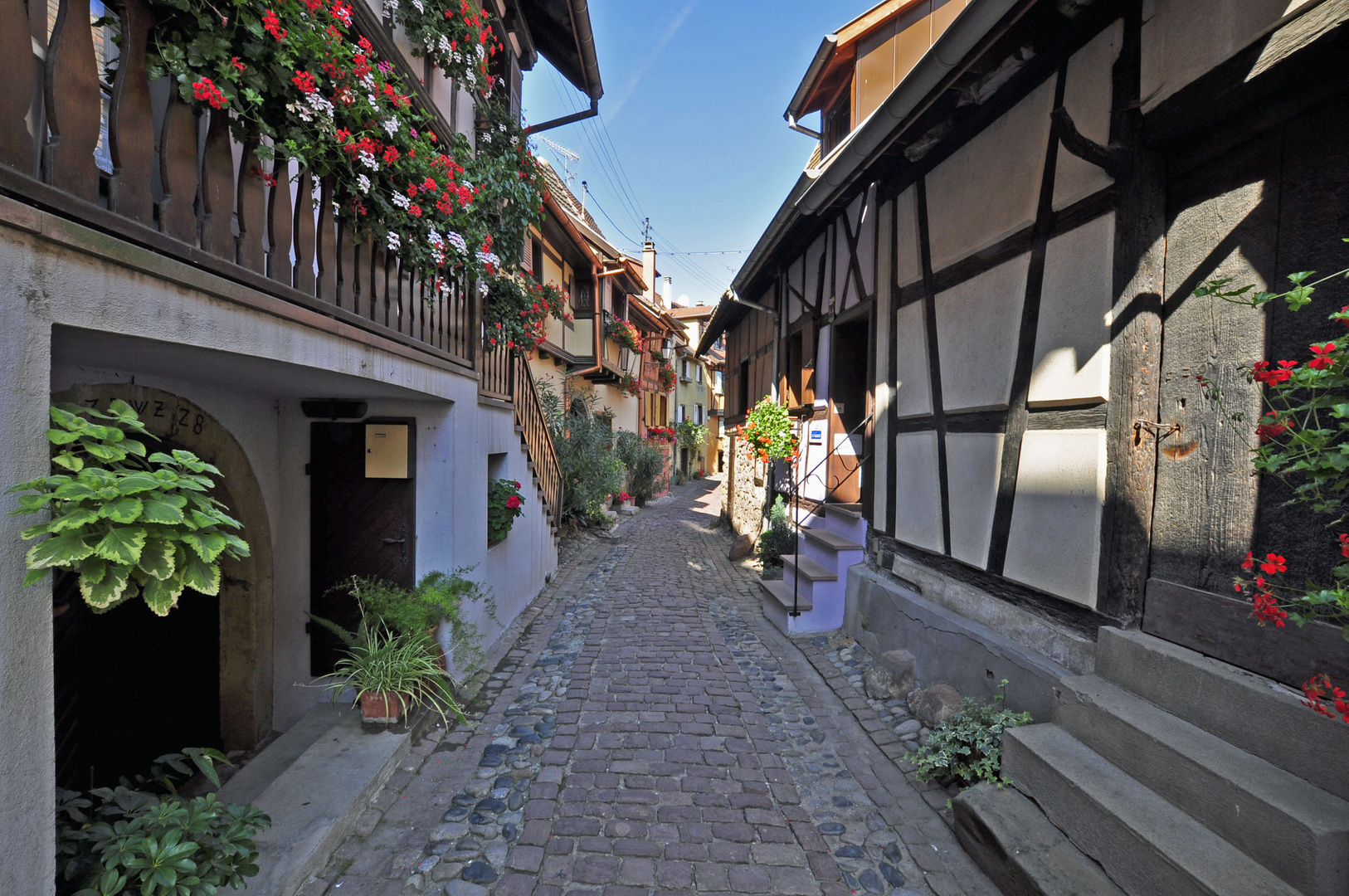 Eguisheim im Elsass