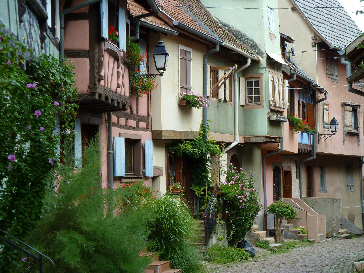 Eguisheim im Elsass_1