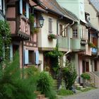 Eguisheim im Elsass_1