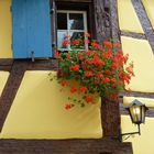 Eguisheim im Elsass_6