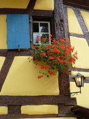 Eguisheim im Elsass_6