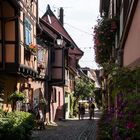 Eguisheim#6