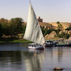 Egypt ASWAN 2010