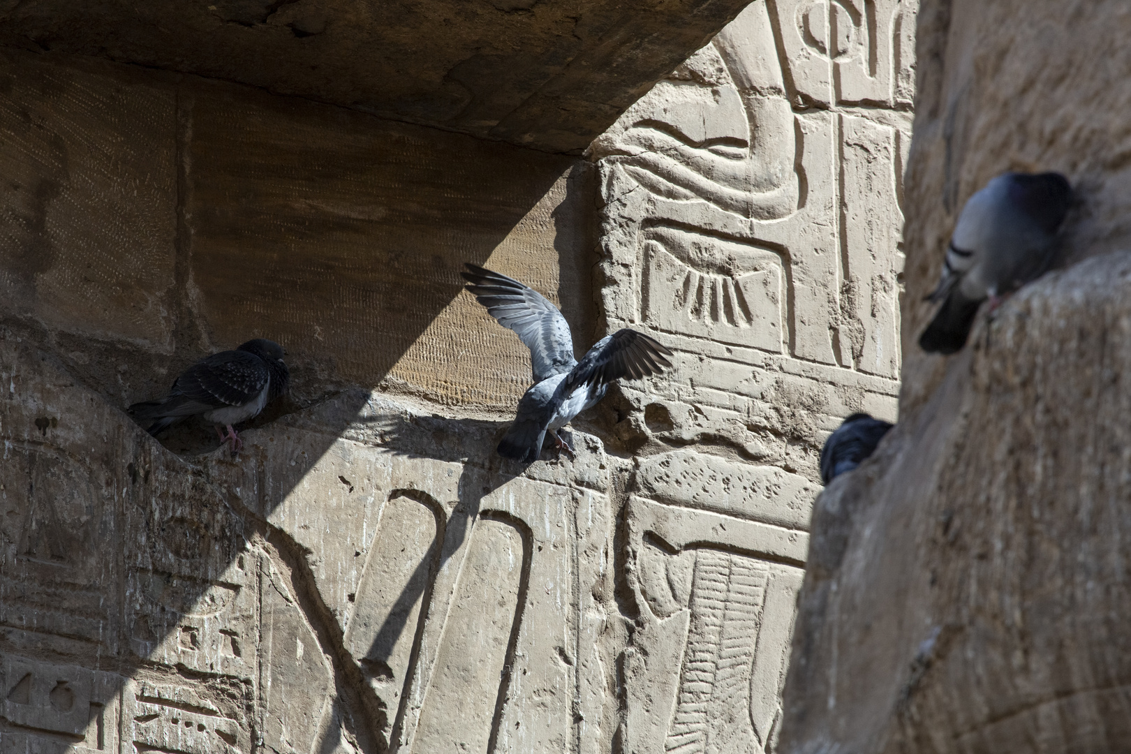Egypt-Karnak-Temple_0049