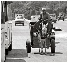 Egypt- street