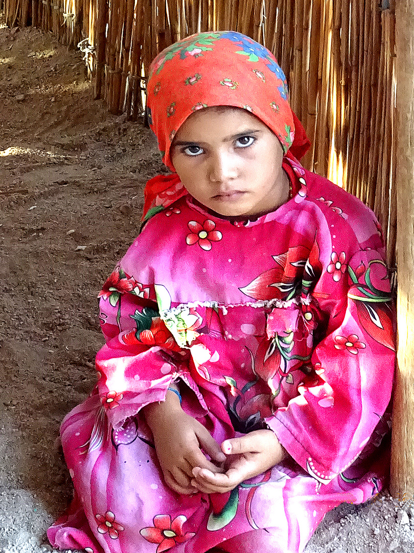 Egyptian Bedouin Girl