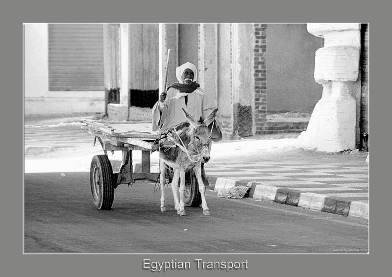 Egyptian Transport