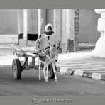 Egyptian Transport