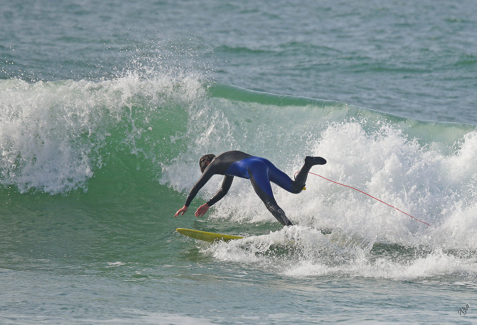 Eh HOP  un petit plongeon ....