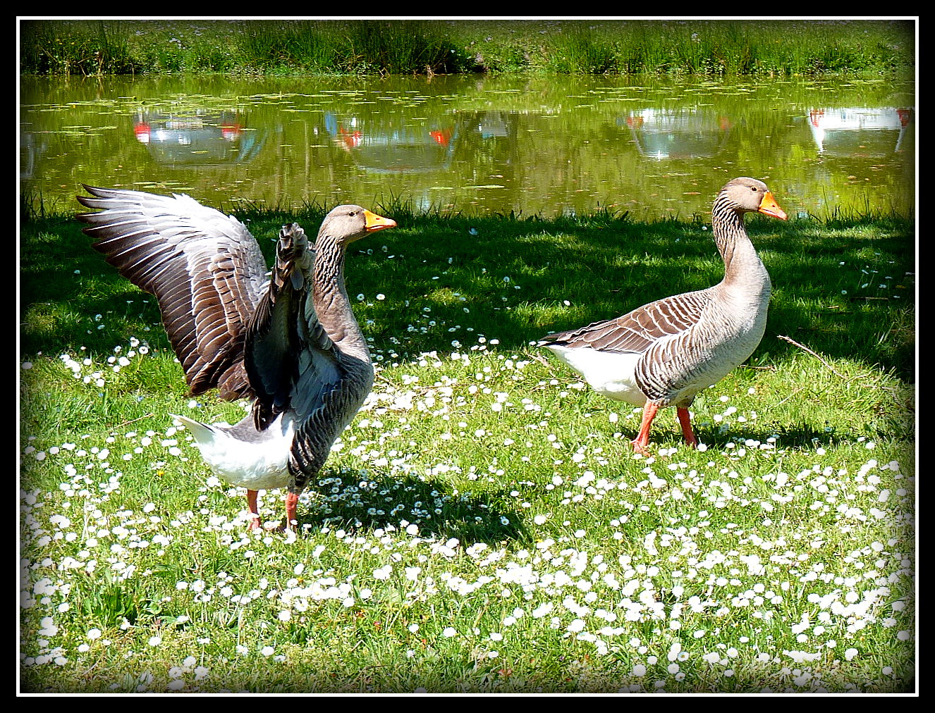 EH - .... REGARDES - MOI !!!