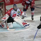 EHC DORTMUND - #31