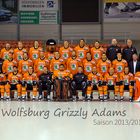 EHC Wolfsburg