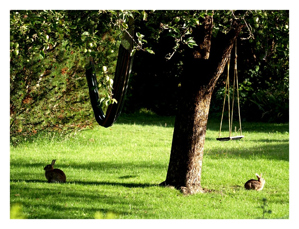 Ehekrise bei Familie Hase