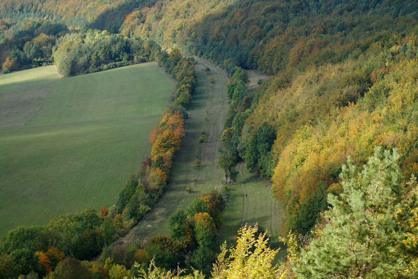 Ehemalige A4 am Hörselberg