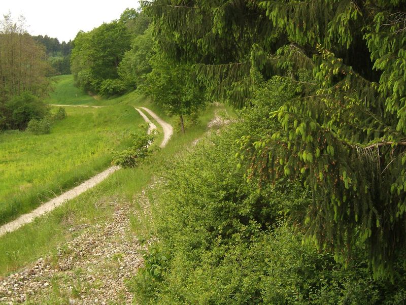 Ehemalige Hallertaubahn, zwischen Wolnzach und Enzelhausen