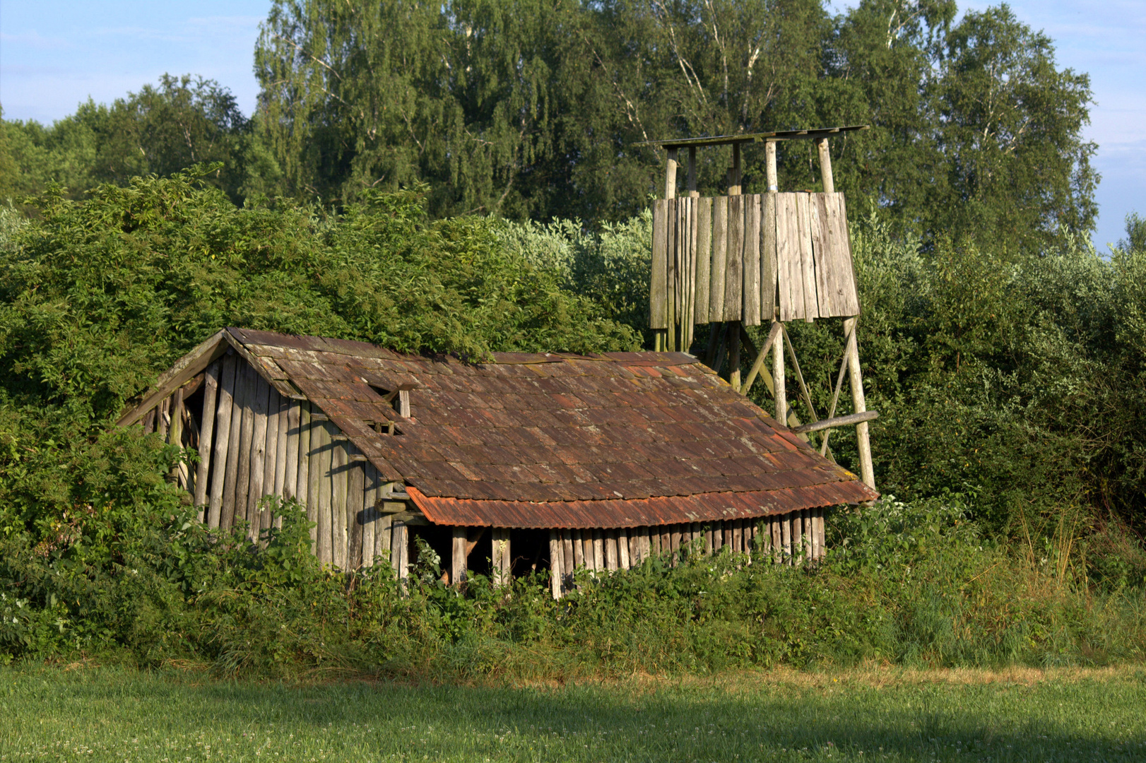 Ehemalige Hütte der Torfstecher im Pfrunger-Burgweiler Ried Wilhelmsdorf
