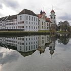 ehemaliges Kloster Rheinau auf der Strominsel im Rhein